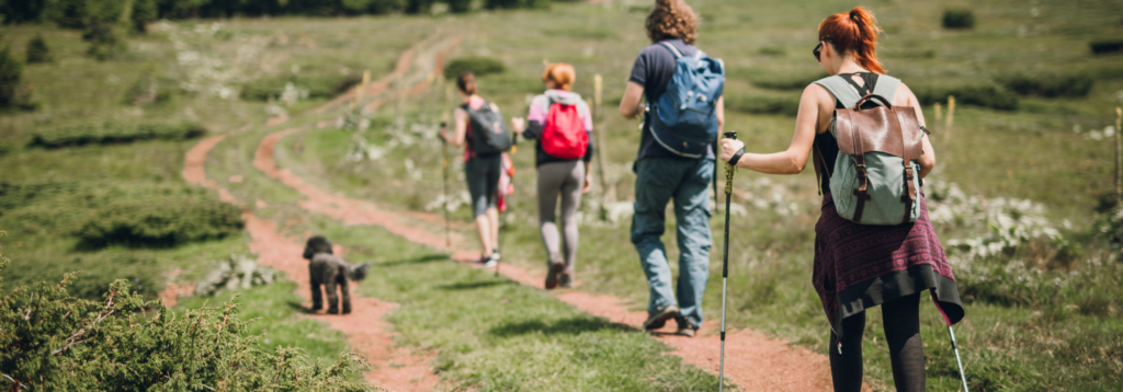 Charity hike - people hiking with dog