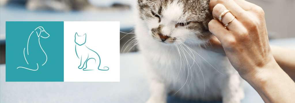 Pet Health Plan