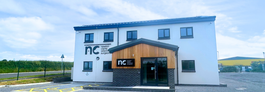 Our new Sherborne Practice