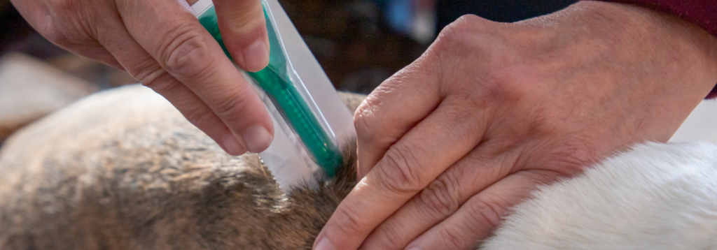 Personalised pet care
