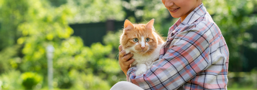 Responsible Pet Ownership